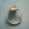 Delicate Nuance Ring
